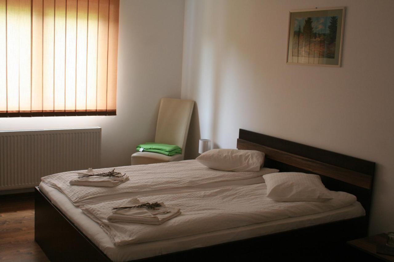 Bed and Breakfast Aranykakas Etterem Es Panzio Sîndominic Zewnętrze zdjęcie