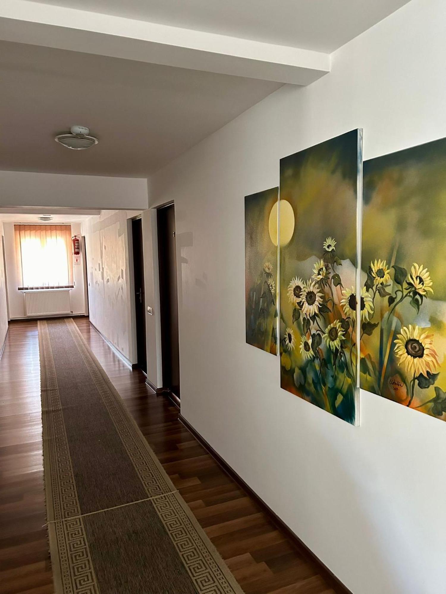 Bed and Breakfast Aranykakas Etterem Es Panzio Sîndominic Zewnętrze zdjęcie